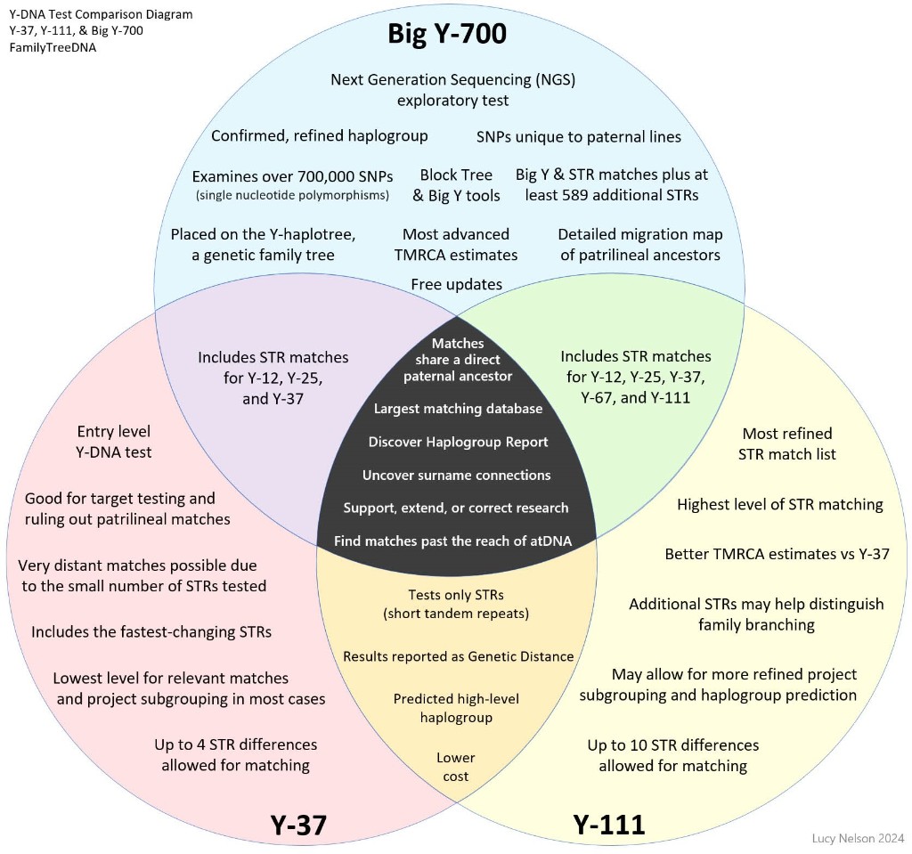 Venn diagram comparing FamilyTreeDNA Y-37, Y-111, and Big Y-700 tests — showing STR matching, haplogroup refinement, SNP analysis, and TMRCA estimates.